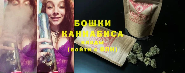 PSILOCYBIN Новокубанск