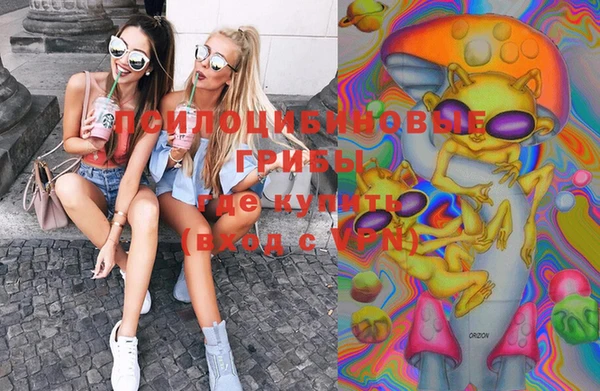 метадон Новодвинск