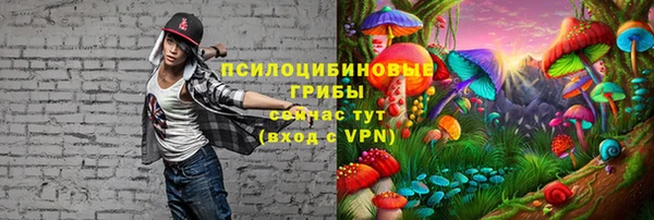 дмт Нягань