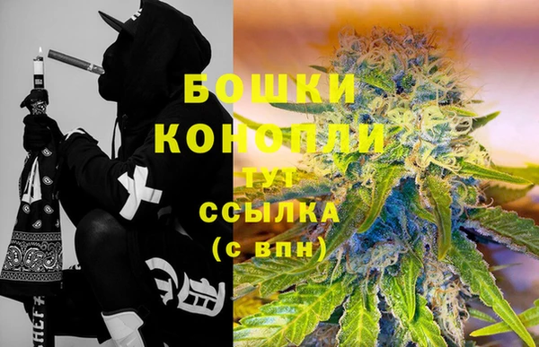бошки Новозыбков