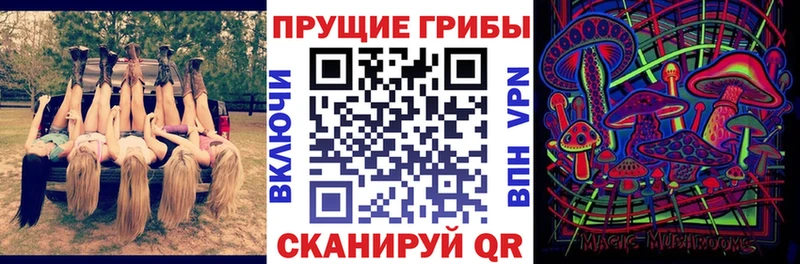 Псилоцибиновые грибы ЛСД  Купить  Новоалтайск 